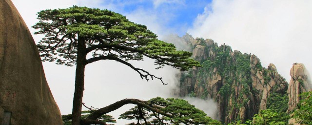 黃山景點介紹 黃山景點介紹