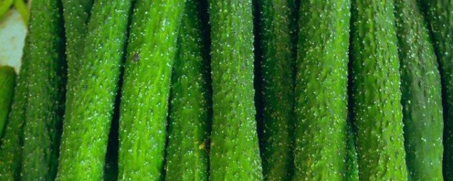 黃瓜怎麼保存長久吃法 黃瓜怎樣保存時間長