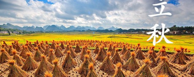 八月節日 節日盤點