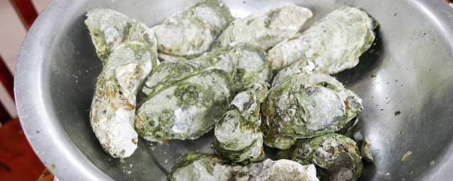 開殼的蠔怎麼保存 有什麼保存的方法