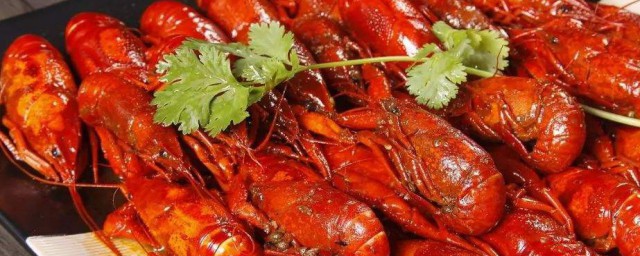 龍蝦吃什麼食物呢 龍蝦吃的食物簡述
