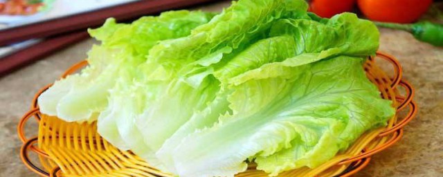 生菜怎麼長期保存 生菜長期保存的方法