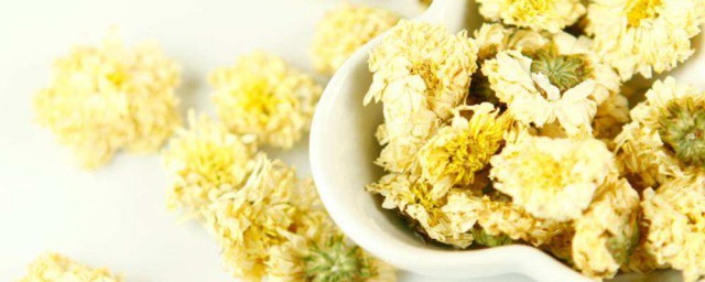 夏季怎麼保存菊花水 有什麼好的技巧