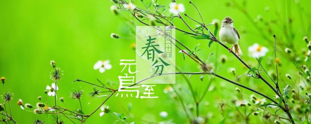 二十四節氣中第四個節氣介紹 該節氣的特點是什麼