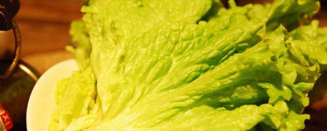 生菜洗過怎麼保存 生菜洗過保存的方法