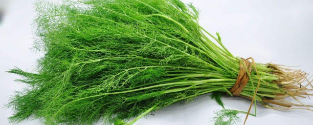 小茴香功效與作用 小茴香大傢可以瞭解一下