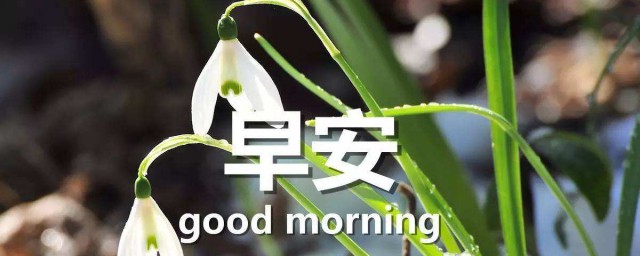 早安早餐問候語簡短一句話 有哪些早安的話