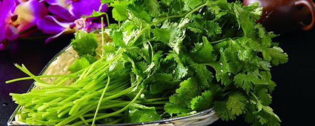 芫荽的功效 芫荽對於人體有什麼功效作用