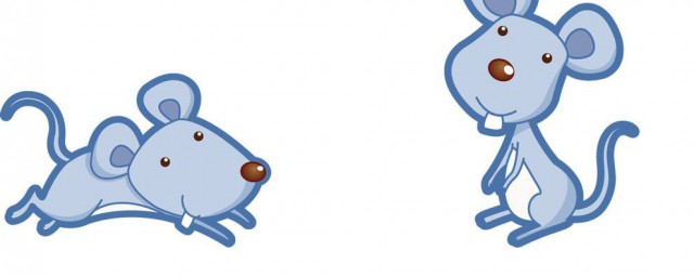 蝦塘怎麼解決老鼠 如何處理蝦塘出現的水老鼠