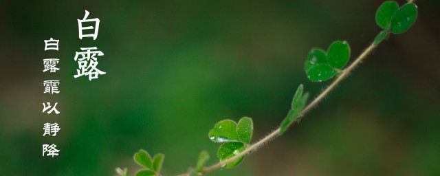 24節氣白露的含義 白露有什麼特點