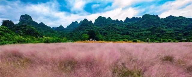 廣州10大網紅打卡地點 廣州10大網紅打卡地點