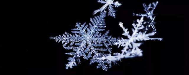 雪花是什麼結構作用 雪花有什麼特點