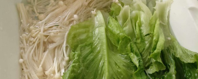 怎麼判斷生菜壞沒壞 正確保存生菜方法是什麼