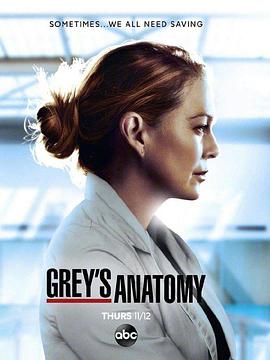 實習醫生格蕾 第十七季 Grey's Anatomy Season 17