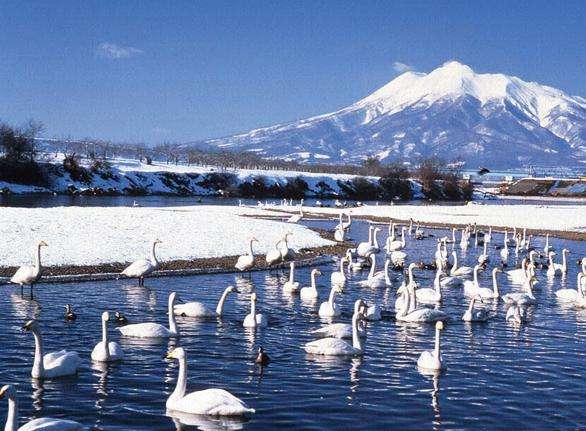 岩木山 Mount Iwaki 