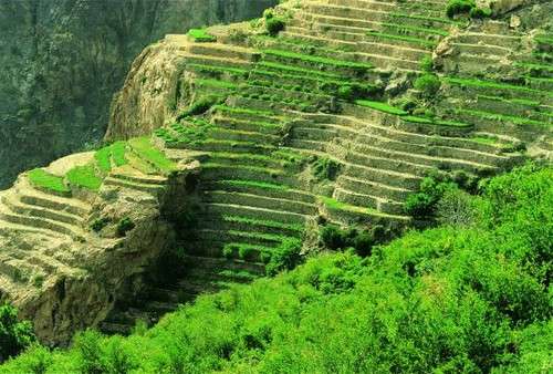 阿卡達山 Jebel Akhdar Oman 