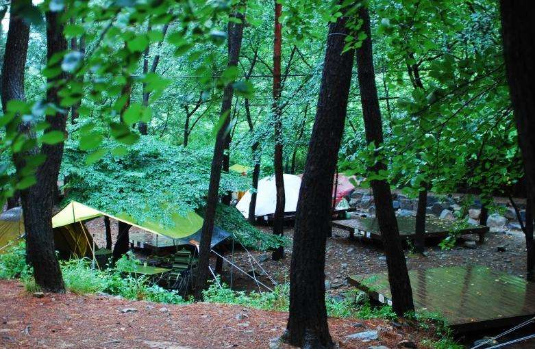 希裡山海松自然休養林 Huirisan Recreation Forest 