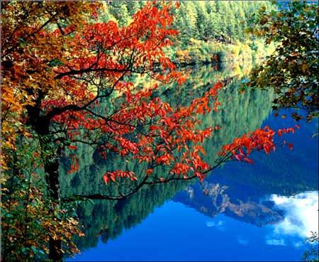 九寨溝風景名勝區 Jiuzhaigou Valley Scenic and Historic Interest Area 