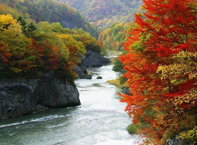 武陵溪穀 Mureung Valley 