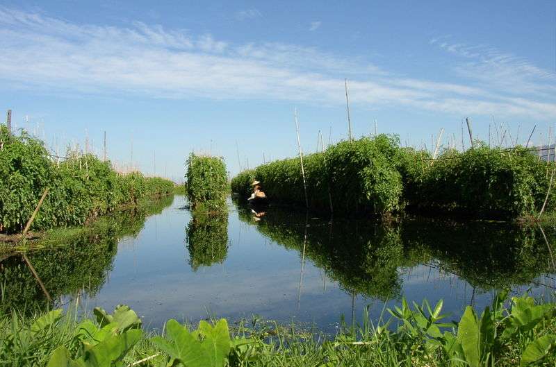 茵萊湖 Inle lake 