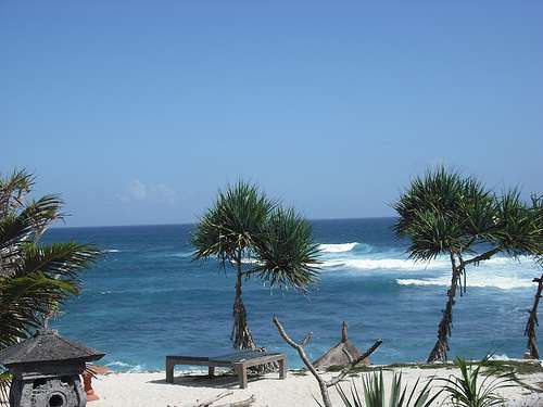 蘑菇灣海灘 Mushroom Bay Beach 