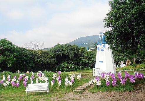 興福寮花卉農場 Xingfuliao Flowers and Plants Farm 