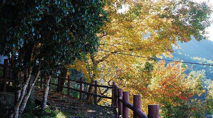 達觀度假農場 Daguan Resort Farm 