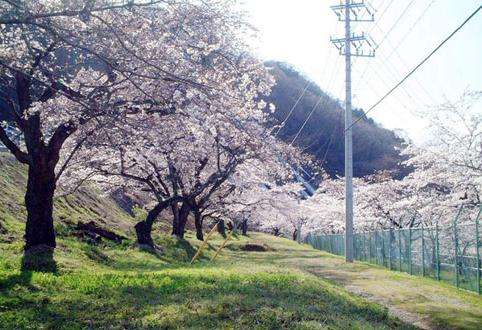 上野原市 Uenohara 