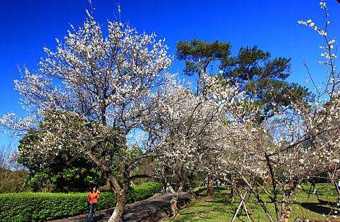 角板山公園 Jiaobanshan Park 