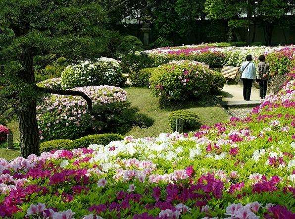 相樂園 Sorakuen Garden 