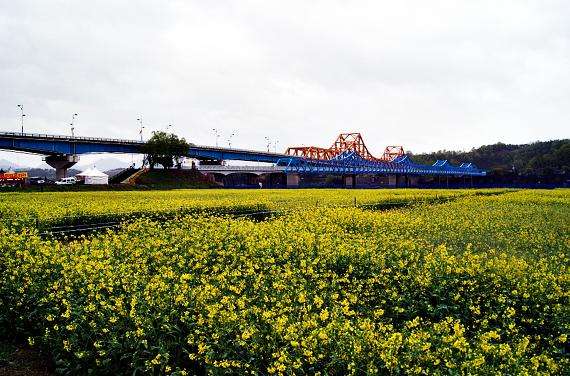 汝矣島河口生態公園 Yeouido Ecology Park 