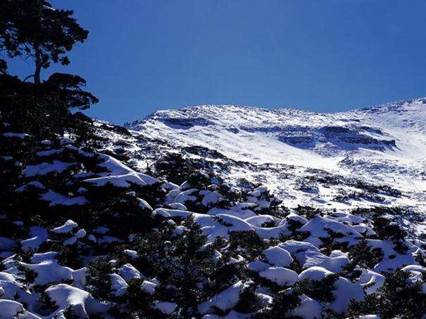 雪霸公園 Shei-Pa National Park 