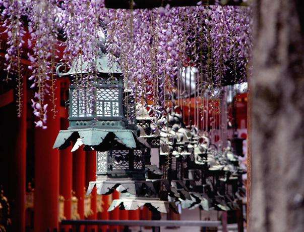 春日大社 Kasuga-taisha 