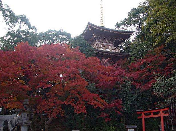 須磨寺 Suma Temple 