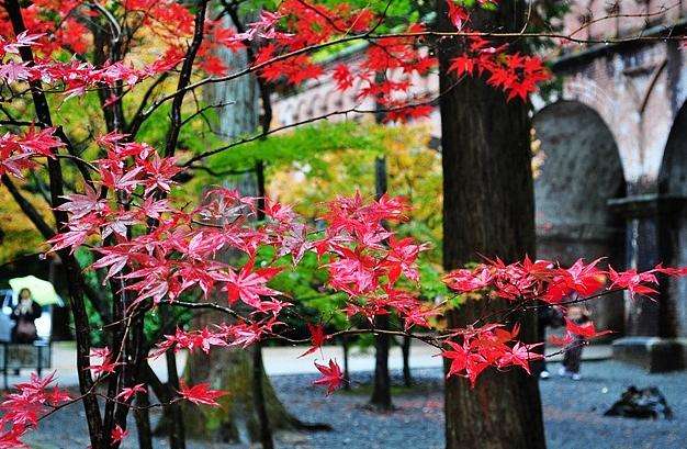 南禪寺 Nanzen-ji 