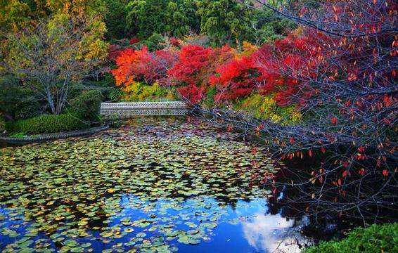 東福寺 Tofuku-ji 