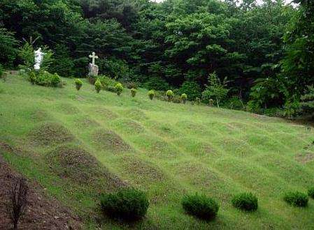 串墓 Cheon Tombs 