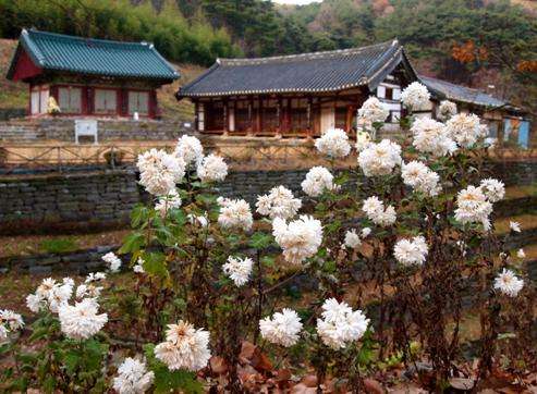 鳳穀寺 Funggosa 