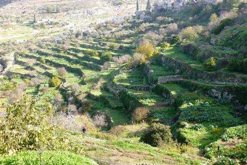 橄欖與葡萄酒之地—南耶路撒冷文化景觀 Palestine: Land of Olives and Vines–Cultural Landscape of Southern Jerusalem Battir 