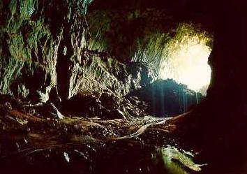 鹿洞 Deer Cave 