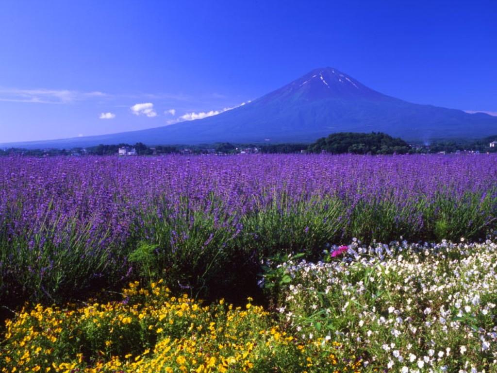 乞力馬札羅山 Mount Kilimanjaro 