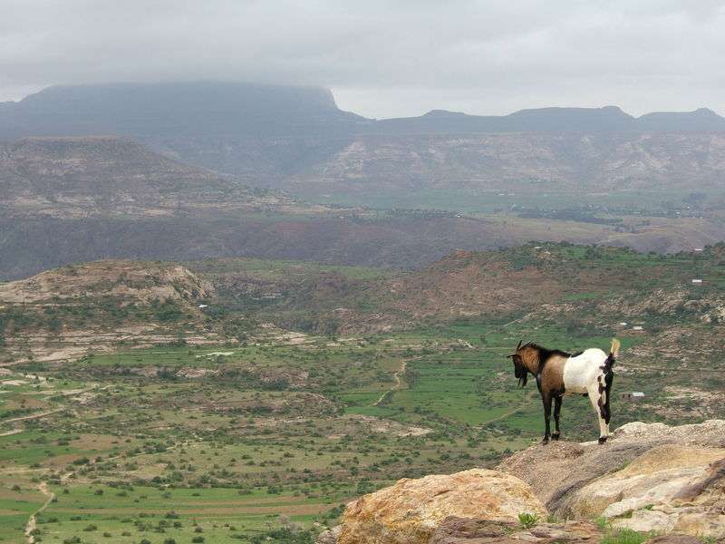 衣索比亞高原 Ethiopian highlands 