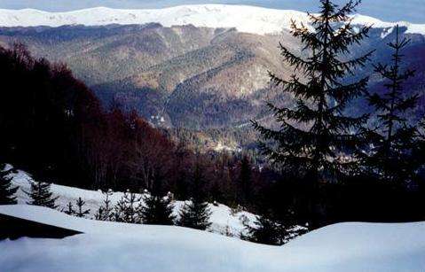 喀爾巴阡山 Carpathian Mountains 