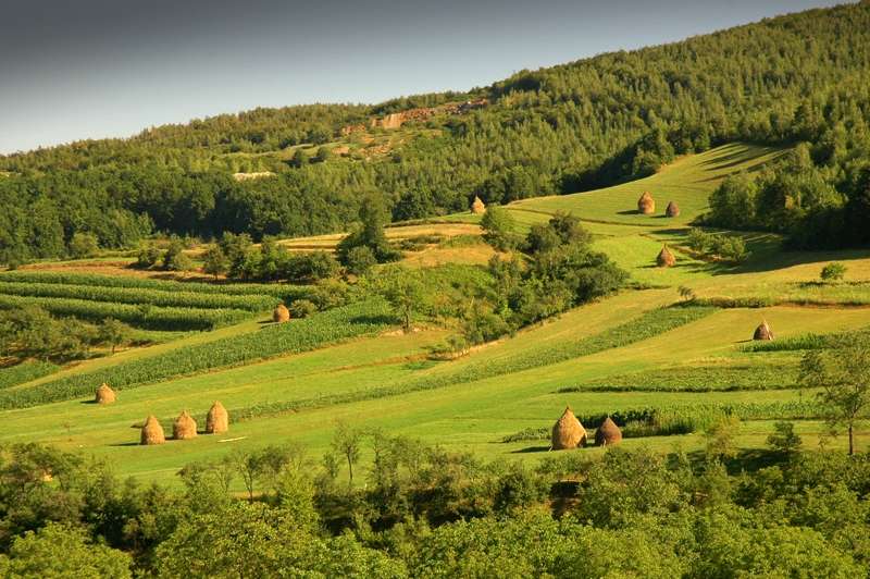 阿普塞尼山脈 Apuseni Mountains 