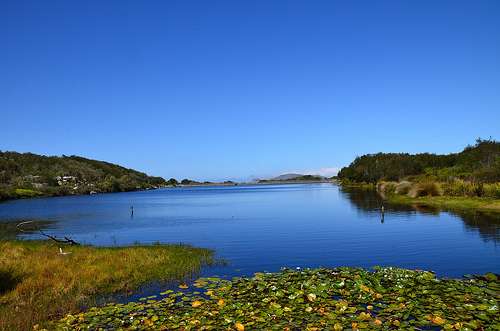 銀礦自然保護區 Silvermine Nature Reserve 