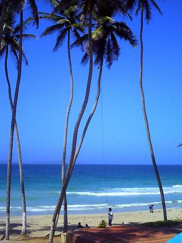 瑪格麗特島 Margarita Island 