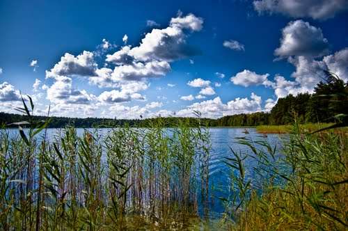 保利圖霍拉國家公園 Bory Tucholskie National Park 