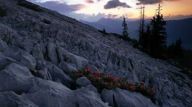 恩特勒布赫生物圈保護區 Biosphere Reserve Entlebuch 