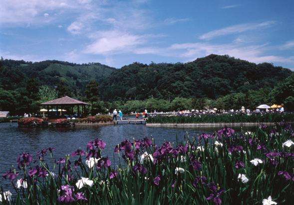 多哥湖 Lake Togo 