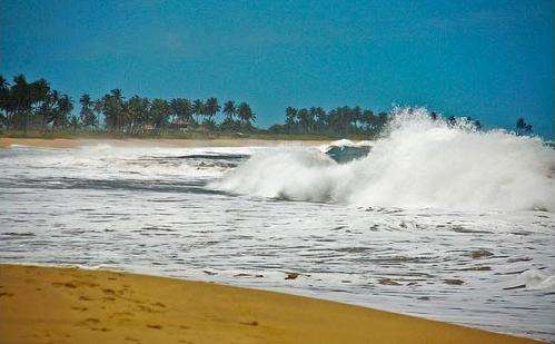 布特海灘 Butre Beach 